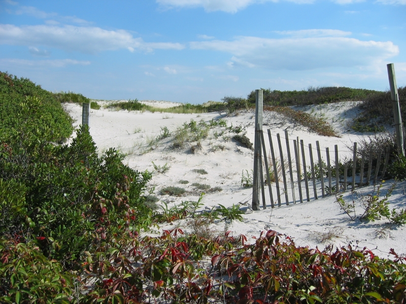 Island Beach State Park, New Jersey