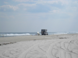 Island Beach State Park Tide Chart